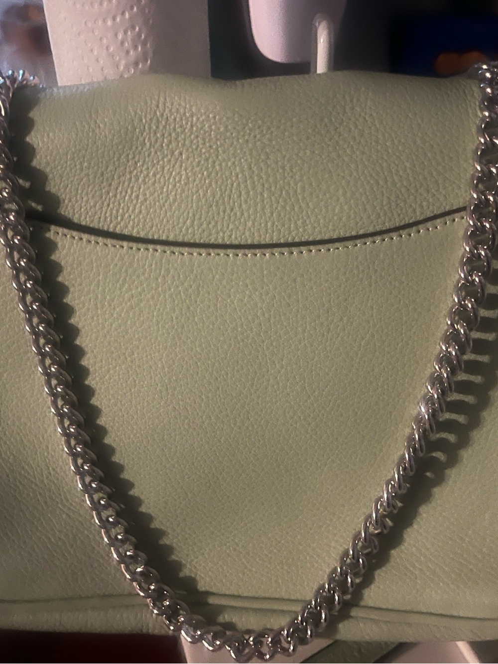 Coach Pale Mint Leather Crossbody with Silver Chain Strap